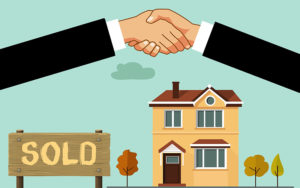 Search, Report, Insure – Understanding Title