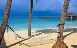 Title Insurance in Florida – Broward vs. Palm Beach